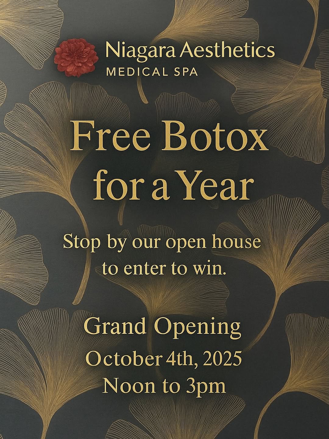 Niagara Aesthetic Medical Spa Beauty Giveaways by Womens-Resources